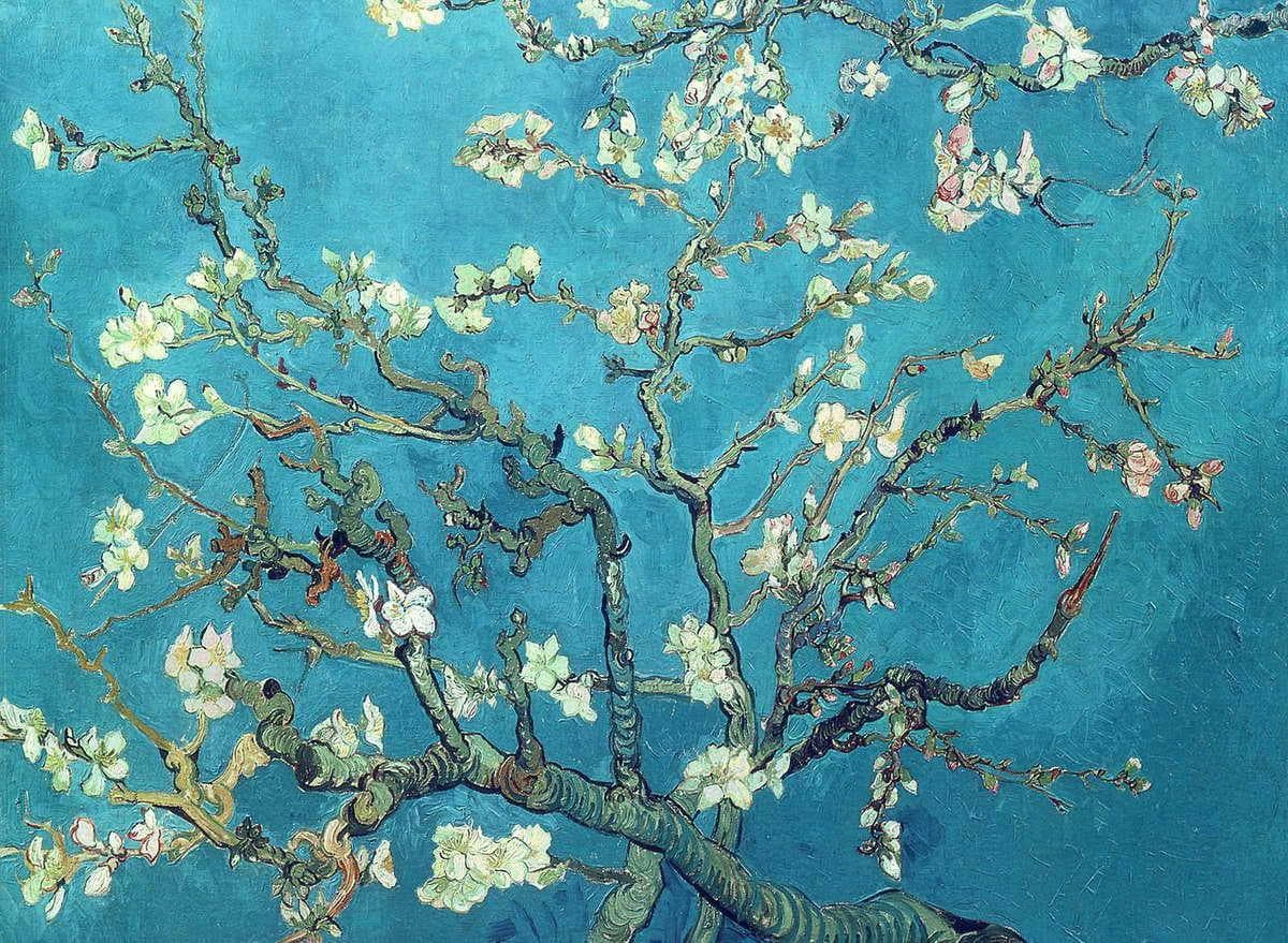 Almond Blossoms