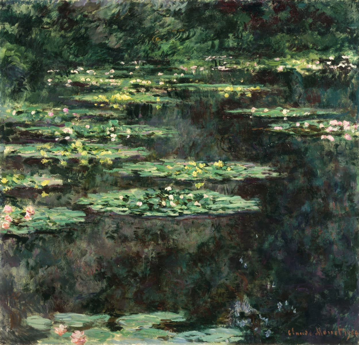Water Lilies (Nymphéas) cycle